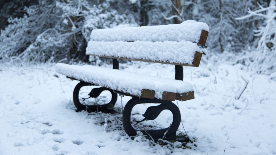 公园的冬日雪景高清电脑壁纸