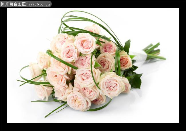 清新素雅的粉色玫瑰花花束图片