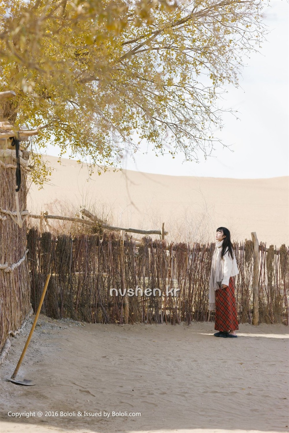 清纯美女萝莉之应沙漠旅拍写真