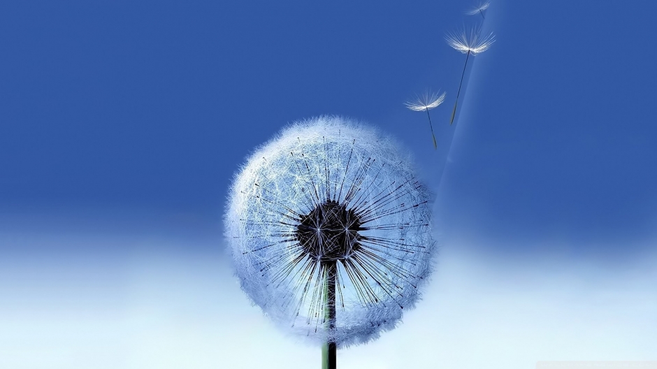 简约壁纸小碎花  唯美小清新简约壁纸图片