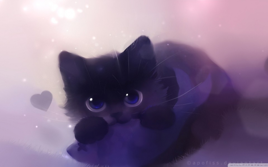 萌猫大图桌面壁纸