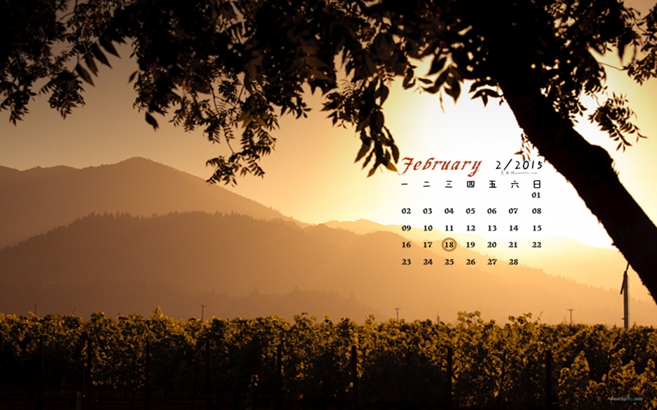 2015年2月日历葡萄园里的唯美风景高清电脑桌面壁纸