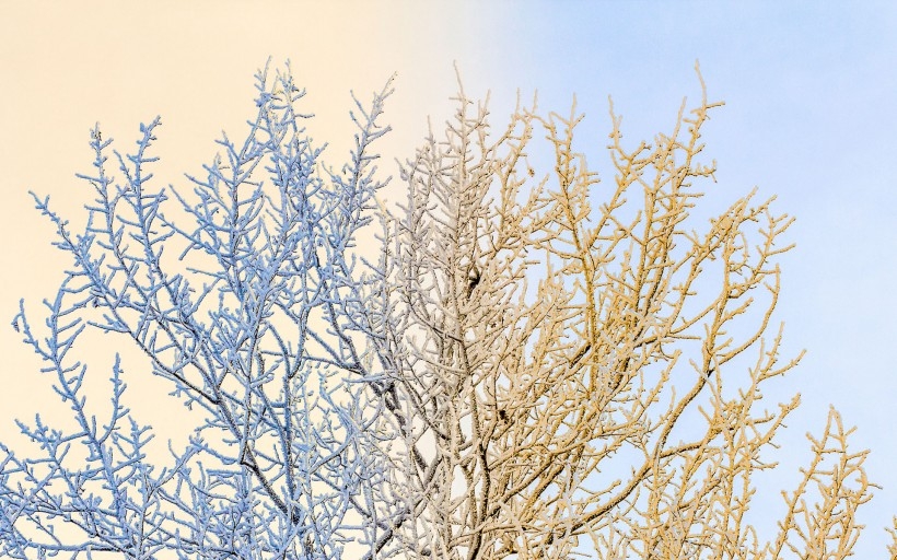 冬天雪景早晨图片 好看的冬天雪景高清图片