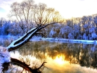 雪景意境图片 唯美雪景意境精选图片