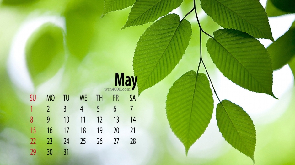 2016年5月日历绿色护眼树叶图片