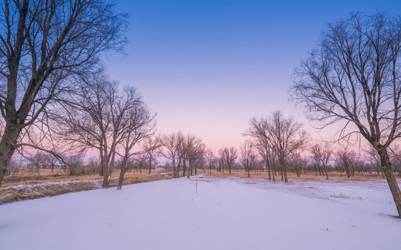 唯美雪景图片大全 冬天唯美雪景图片欣赏