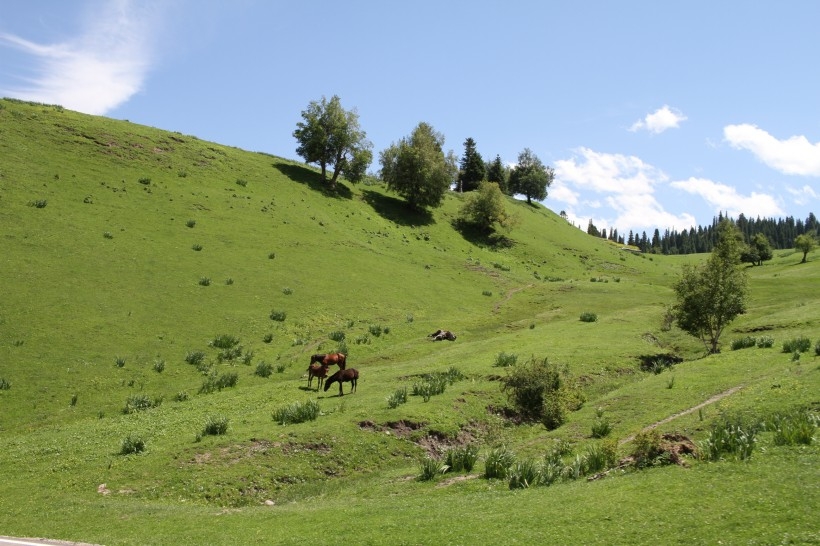 草原风光图片 草原风光高清风景图片壁纸