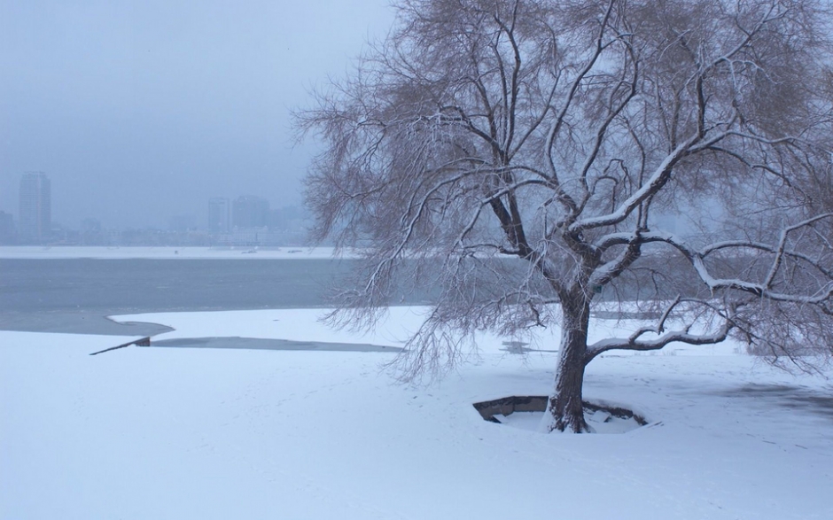 哈尔滨雪景高清图片 哈尔滨唯美雪景高清电脑桌面壁纸