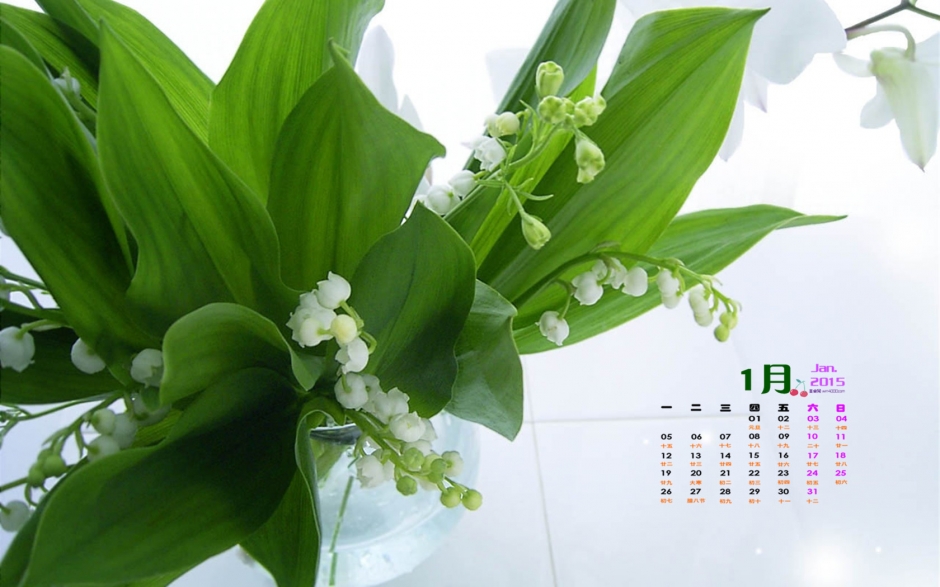 2015年1月日历唯美的养眼绿色植物高清电脑桌面壁纸