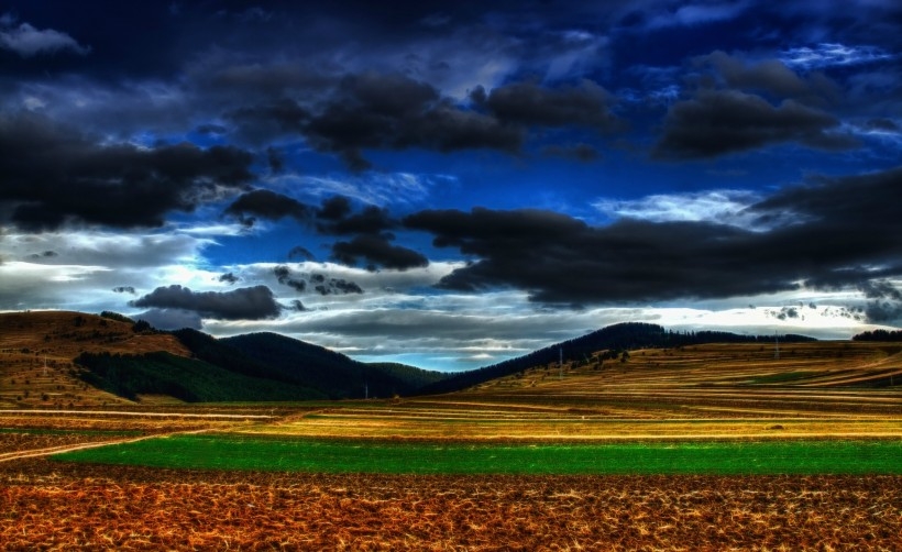 绿色田野图片 乡间小路之绿色田野图片壁纸