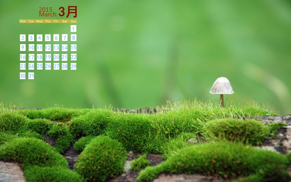2015年3月日历清新自然的森林里的小蘑菇高清电脑桌面壁纸图片