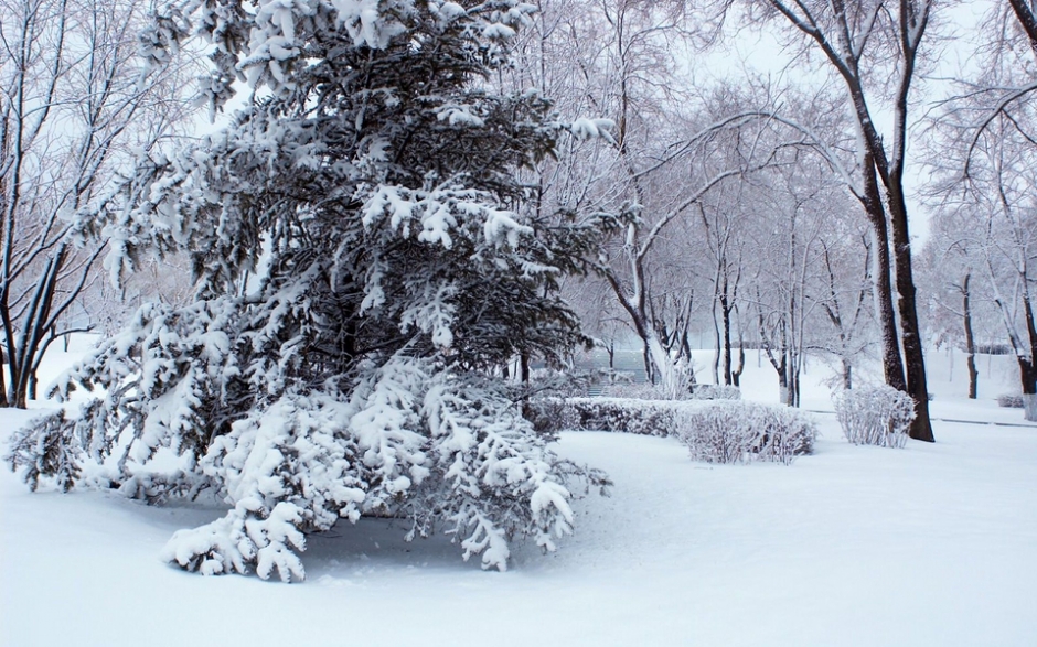 哈尔滨雪景高清图片 哈尔滨唯美雪景高清电脑桌面壁纸