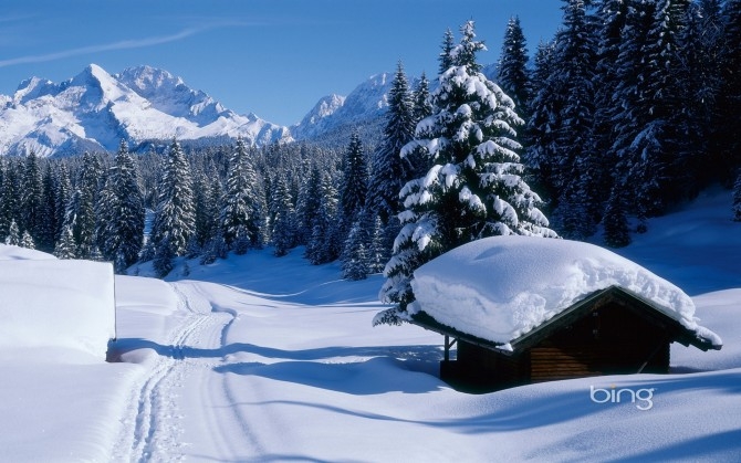 冬天垂柳雪景图片 冬天高山雪景图片欣赏