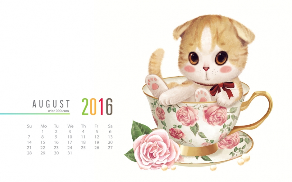 2016年8月日历杯中可爱的小花猫图片电脑桌面壁纸下载