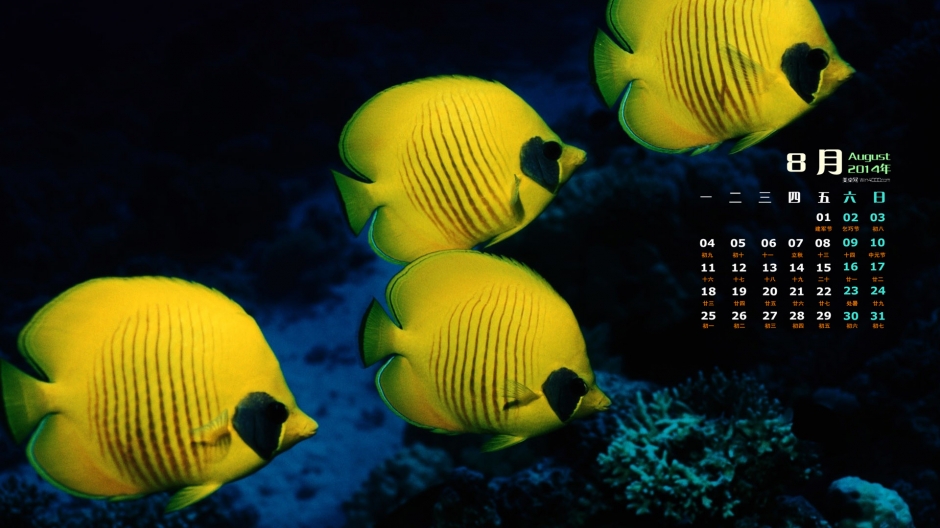 2014年8月日历桌面壁纸神秘梦幻的海底世界高清图片