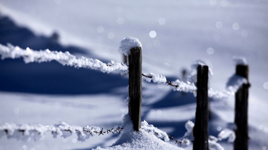 冬季皑皑白雪唯美壁纸