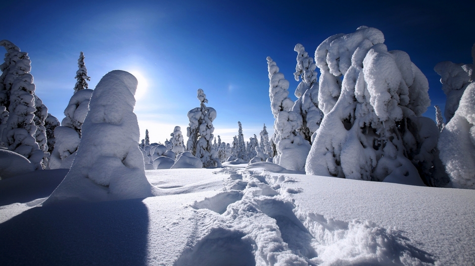 冬季皑皑白雪唯美壁纸