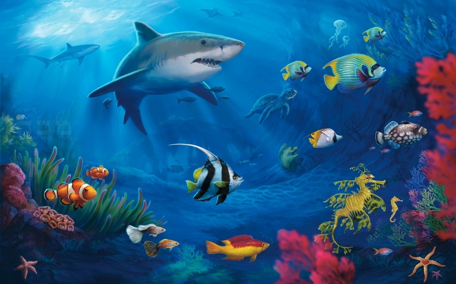 动态动物壁纸桌面 海底世界鱼动态桌面壁纸图集