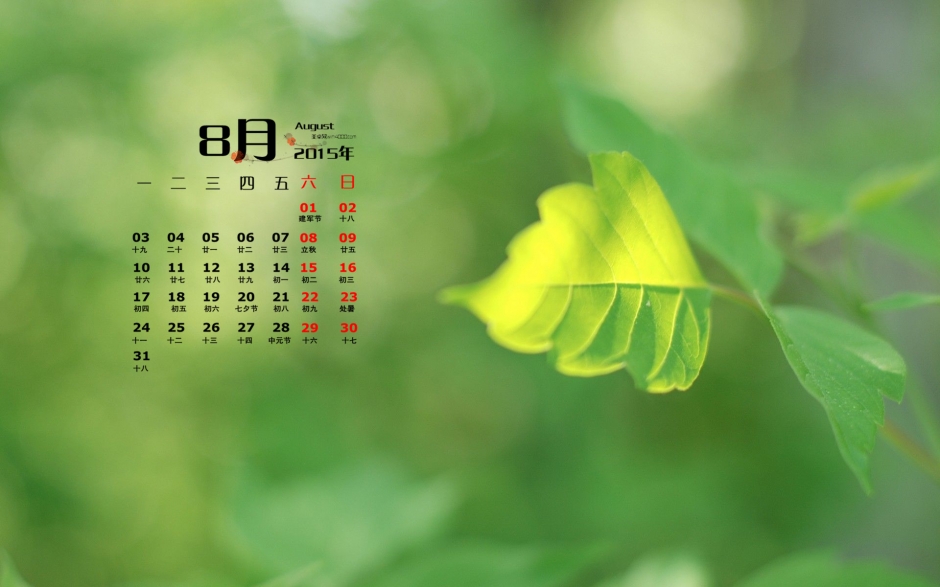 2015年8月日历精选唯美的树叶桌面壁纸图片下载
