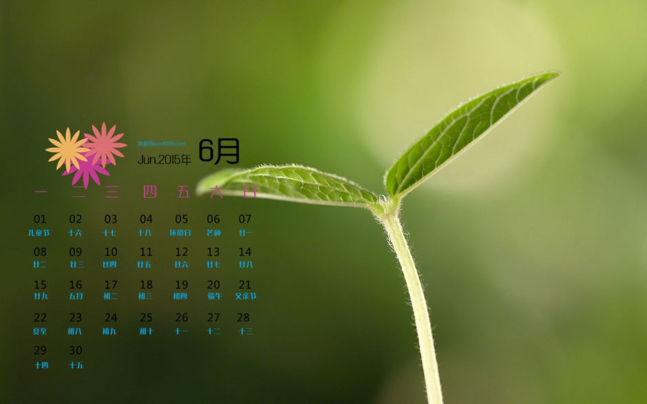 2015年6月日历精选新芽绿色护眼桌面高清壁纸下载