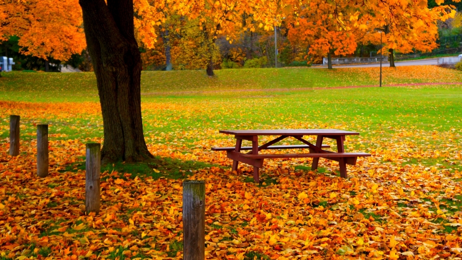 秋天醉美自然风景图片 秋天大自然风景图片大全