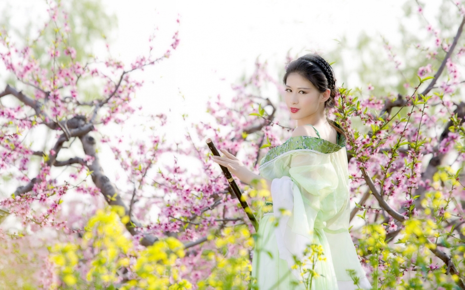 古装美女宽屏壁纸 红楼梦古装美女妩媚诱惑性感图片