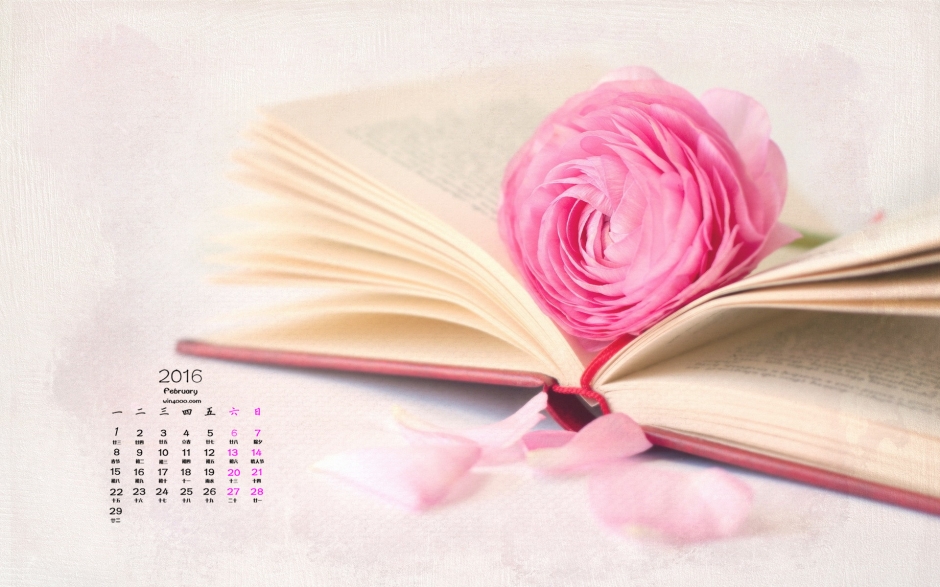 2016年2月日历玫瑰花电脑桌面壁纸图片下载