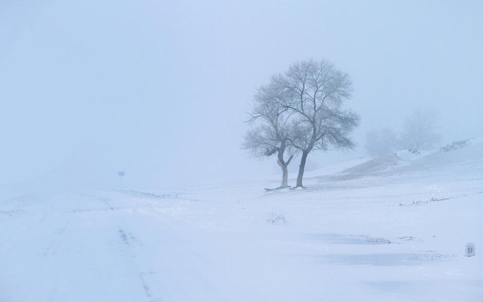 唯美雪景图片 唯美雪景高清电脑桌面壁纸图片