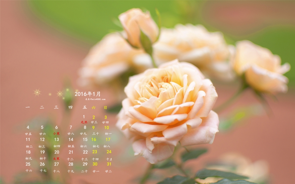 2016年1月日历唯美意境的花朵桌面壁纸下载