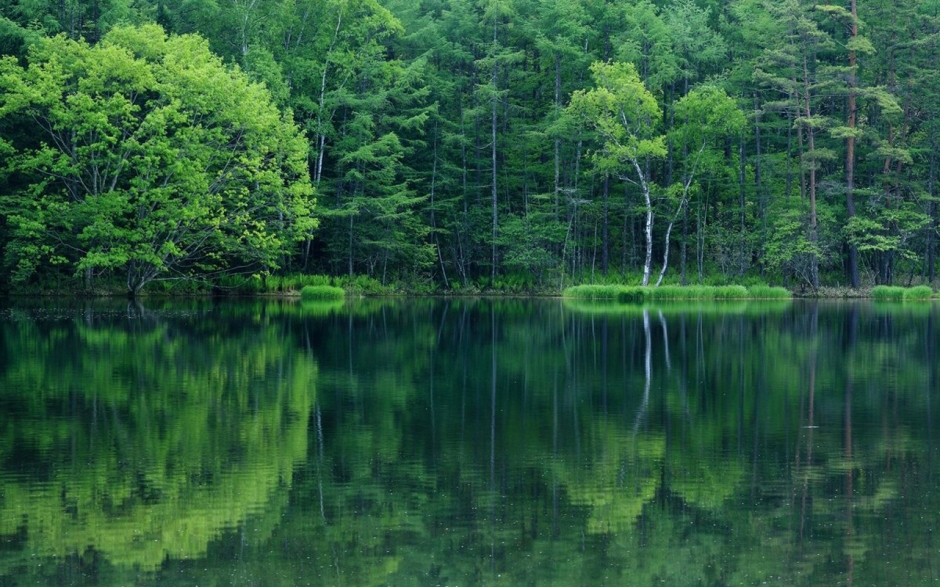 花风景图片大自然风景图片 秋季大自然迷人风景图片