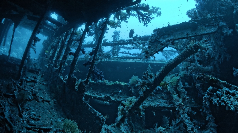 海底宫殿图片唯美 海底沉船高清唯美摄影图片
