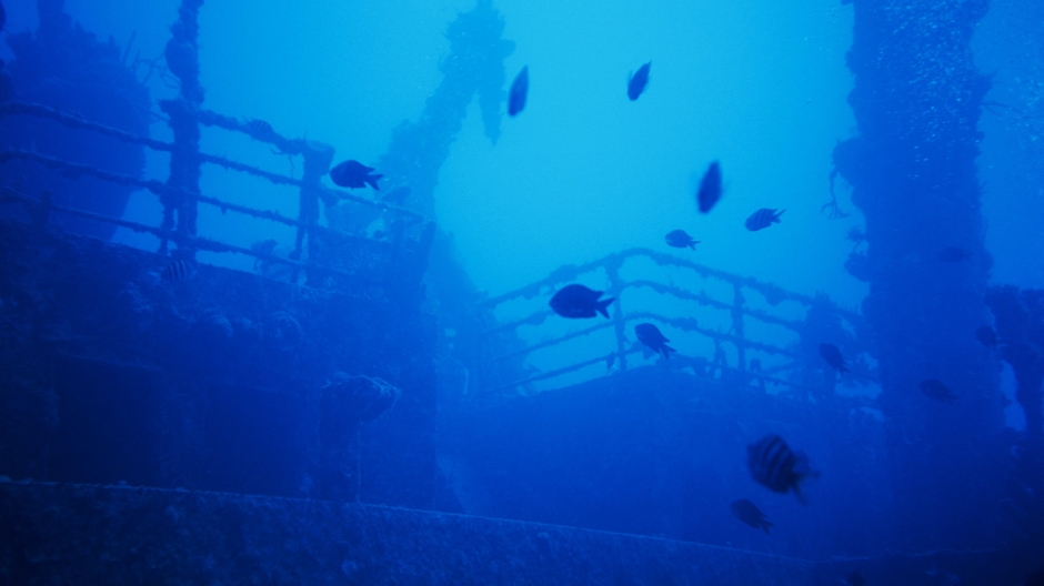 海底宫殿图片唯美 海底沉船高清唯美摄影图片