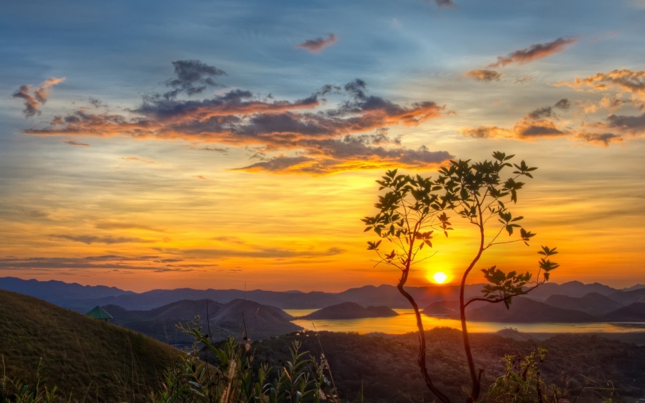 花风景图片大自然风景图片 秋季大自然迷人风景图片