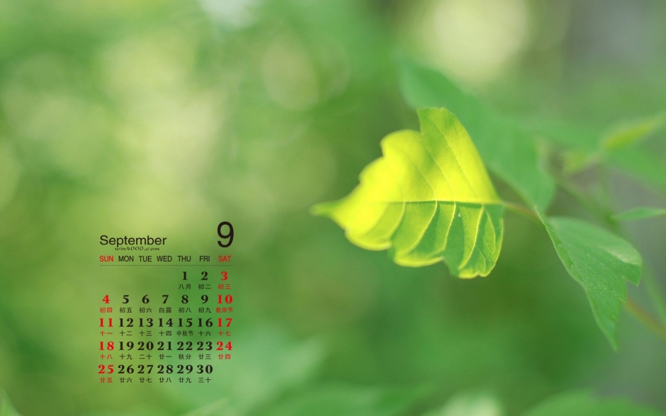 2016年9月日历好看的绿色植物风景桌面壁纸