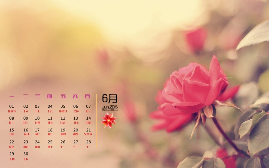 2015年6月日历精选清新红色玫瑰花桌面壁纸下载