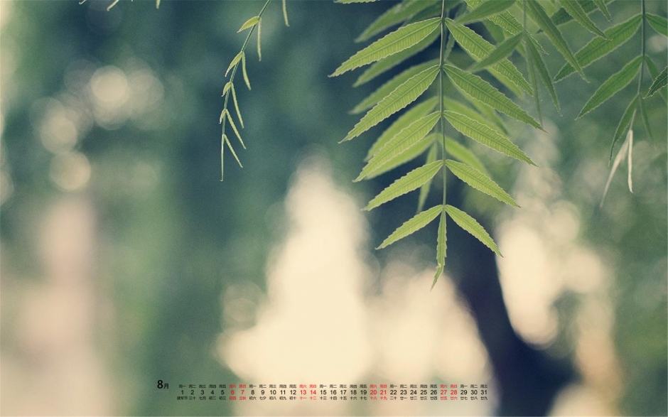 2016年8月日历绿叶风景桌面壁纸