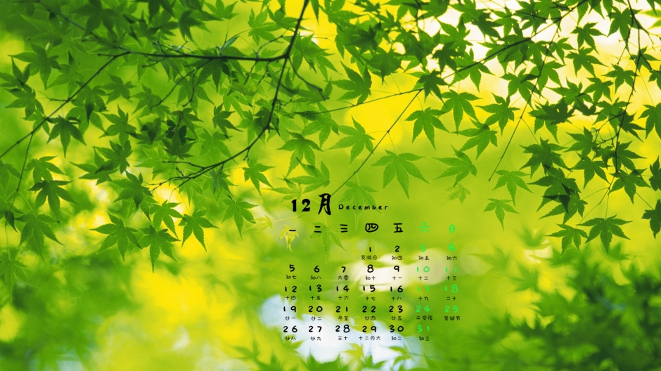 绿色的叶子护眼电脑高清壁纸