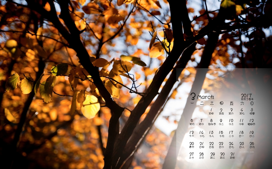 2017年3月纯美自然风光桌面日历壁纸