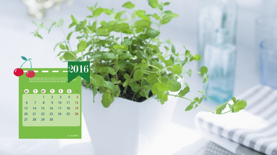 2016年6月日历绿色清新盆栽电脑桌面壁纸