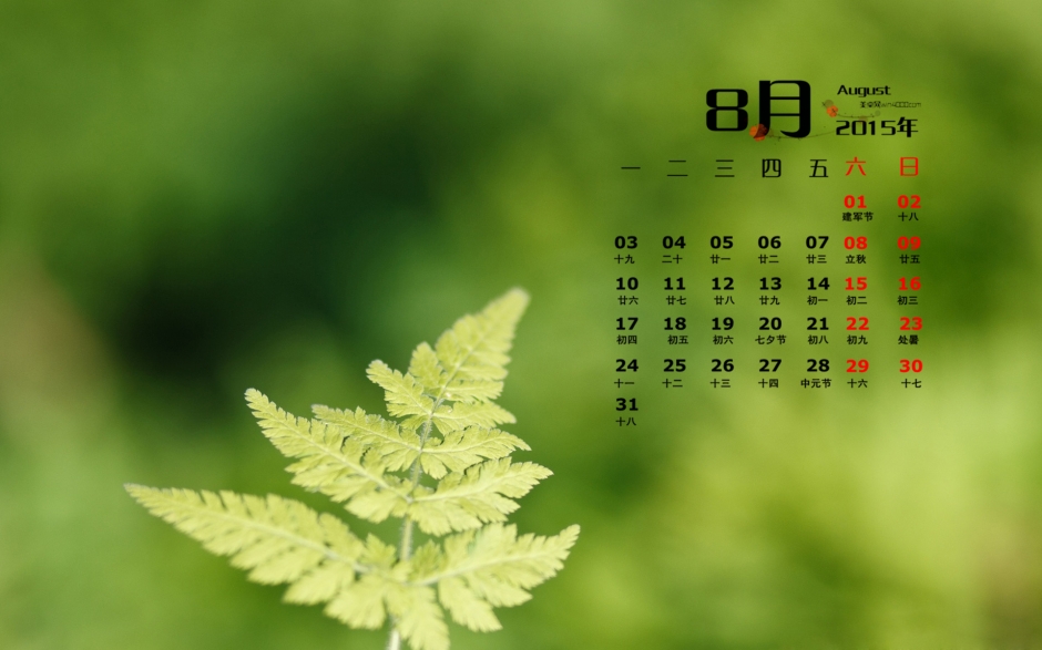 2015年8月日历精选绿色护眼桌面图片壁纸下载