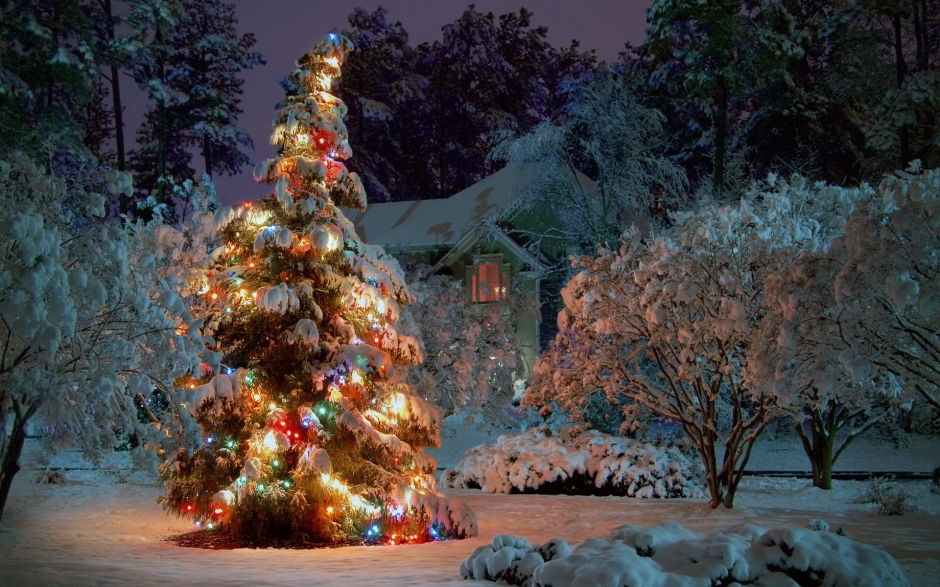 平安夜圣诞树光芒美景壁纸