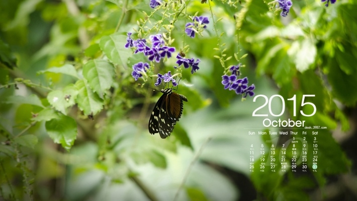 2015年10月风景日历壁纸