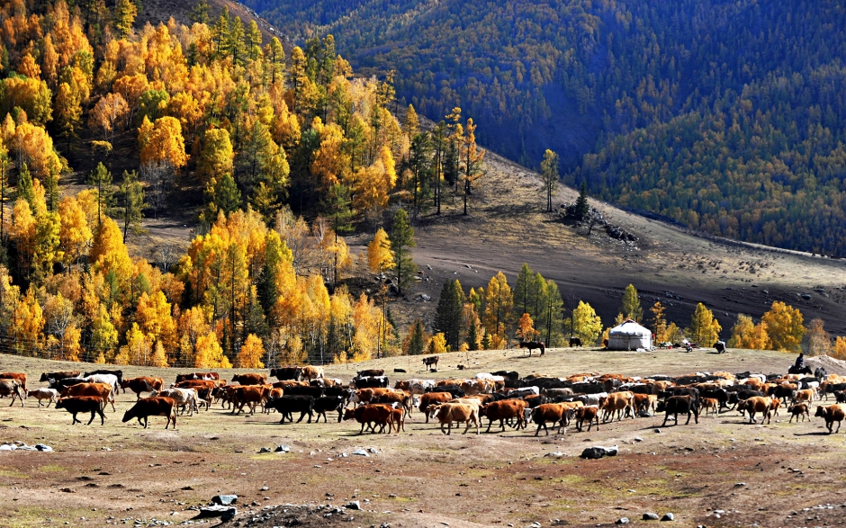 新疆秋色风景图片电脑壁纸