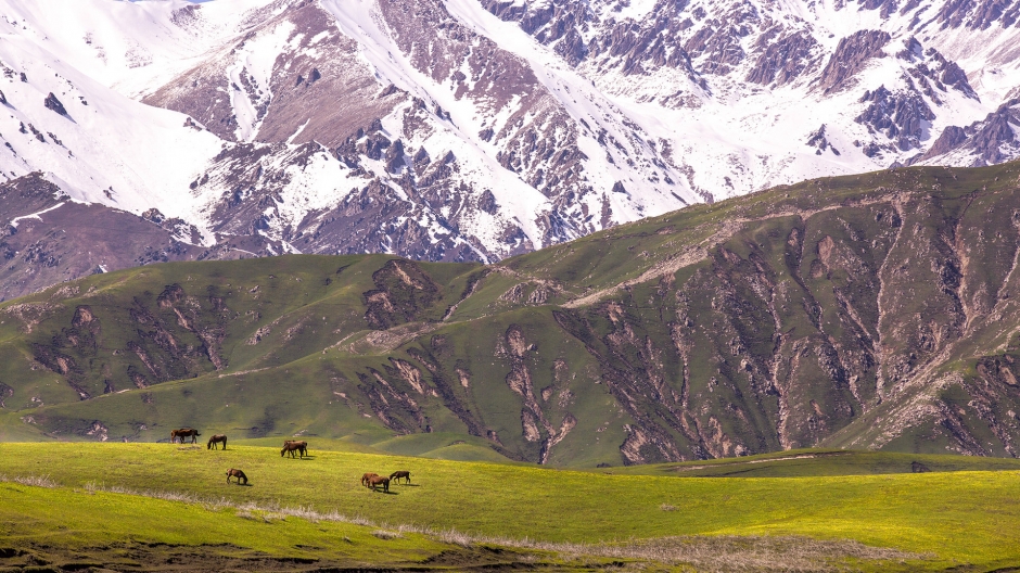 新疆伊犁优美风景壁纸图片 第一辑