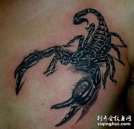 写实的黑色蝎子纹身图案
