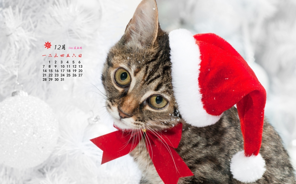 2015年12月日历圣诞萌宠可爱桌面壁纸下载3