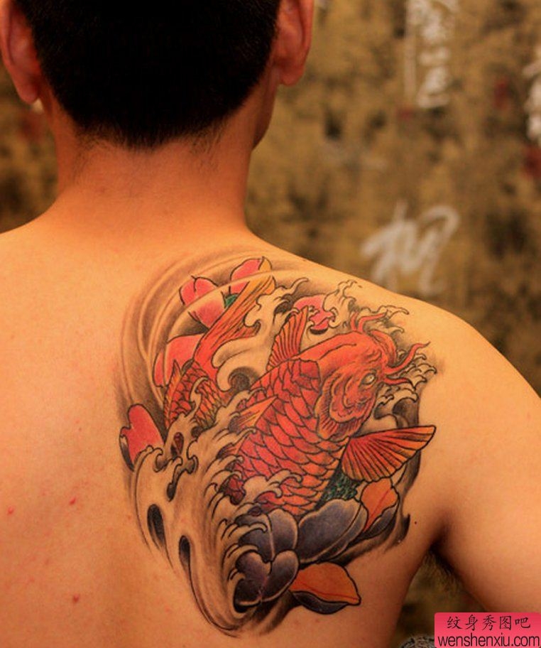 纹身秀图吧推荐一幅背部莲花鲤鱼纹身图案
