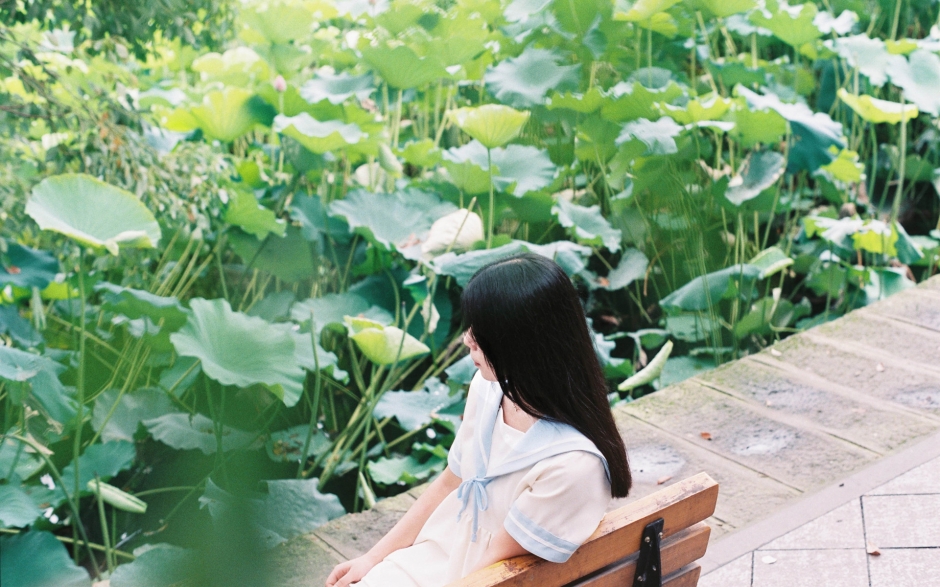 时光记忆唯美清纯美女荷花池摄影壁纸桌面