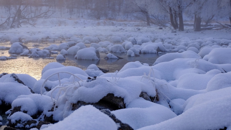 森林雪景图片大全 森林美丽的雪景图片高清