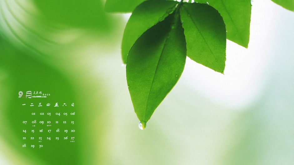 2015年9月日历精选水珠滴落绿叶护眼电脑桌面壁纸下载
